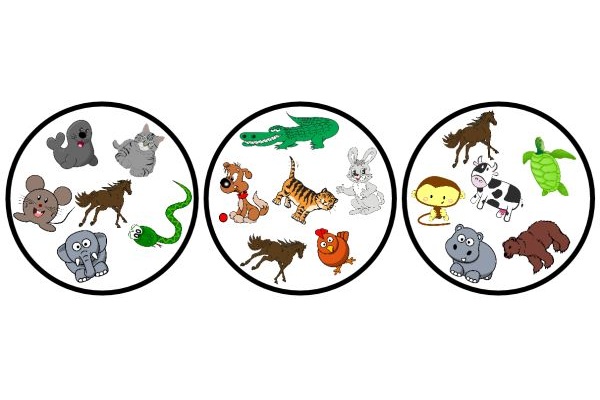 nim34556_20171115155627n