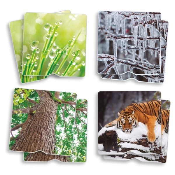 akr20411_20180209101118n