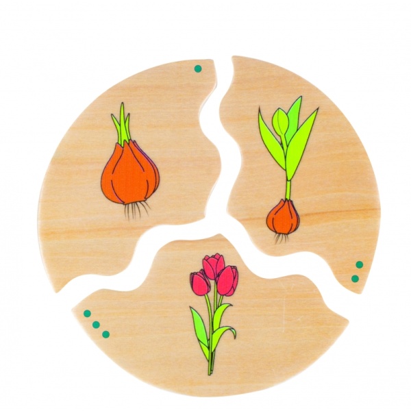 be11570_20220104132744n