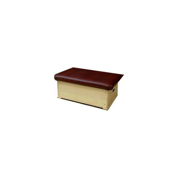 sk10012n