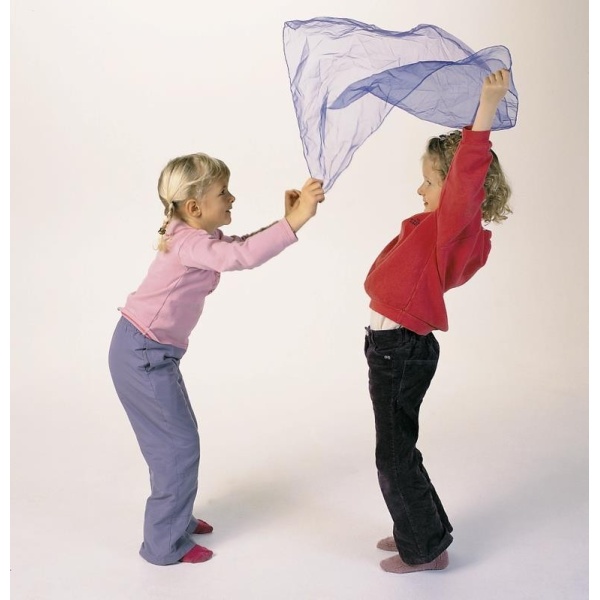 gs2306_20200805160326n