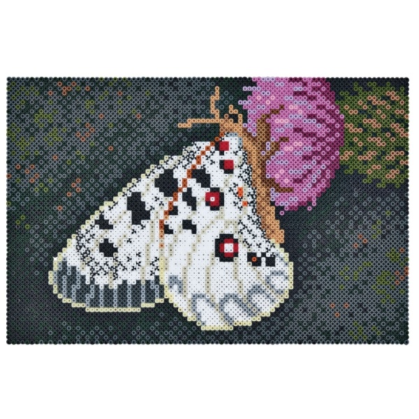 hama3605_20220324123742n