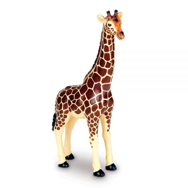 ler0693_20170126115709n