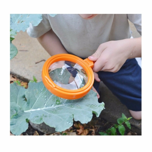 ler2775_20200910113824n