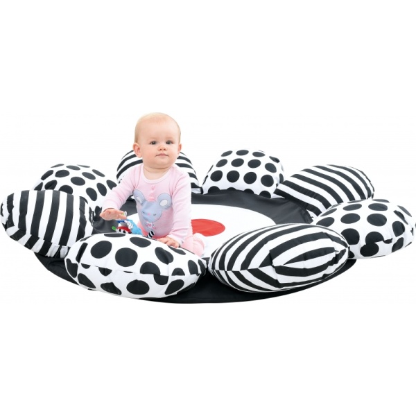 hob002j_20220823102841n