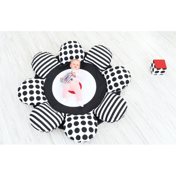 hob002j_20220823102857n